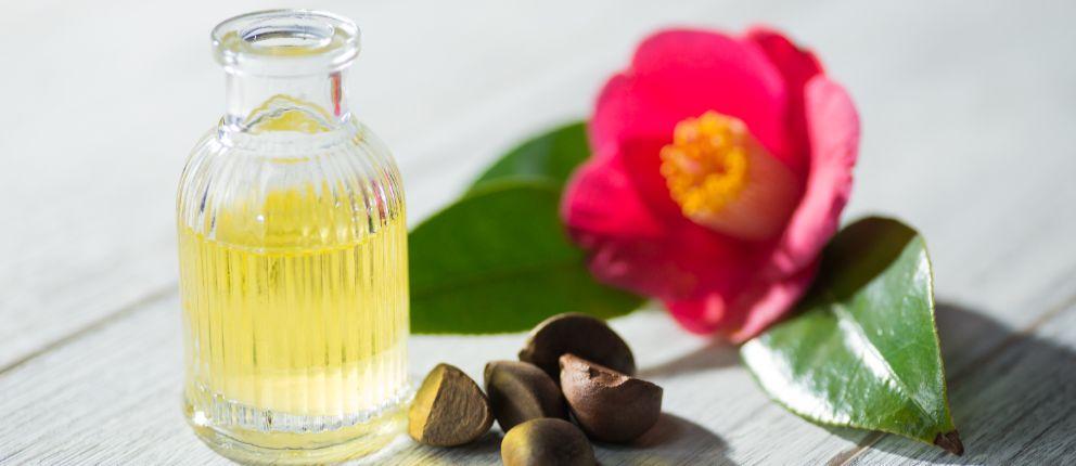Guide : Appliquer les bienfaits exceptionnels de l'huile de camélia japonais pour la peau et les cheveux