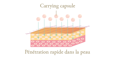 schema carrying capsule penetrant la peau