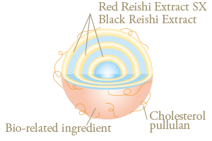 reishi delivery capsules